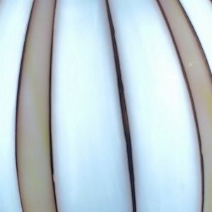 Meet your Posher, Evan